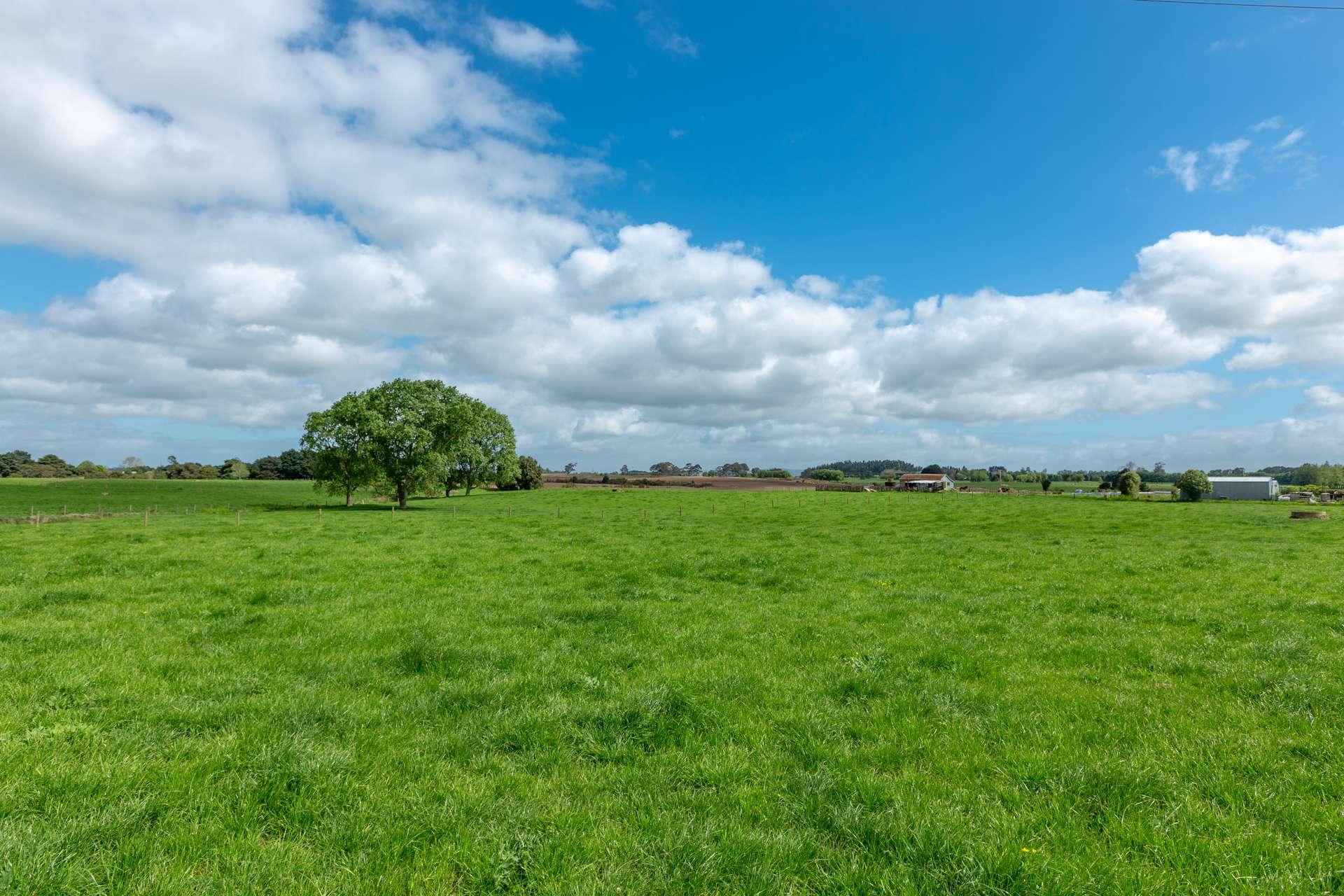 263 Roache Road Morrinsville MatamataPiako Houses for Sale One