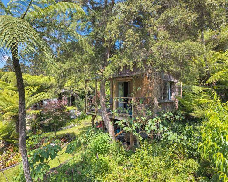 Ohiwa Loop Road Waiotahi_18