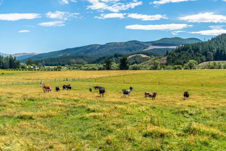 45 Beckwiths Road Glentunnel_27