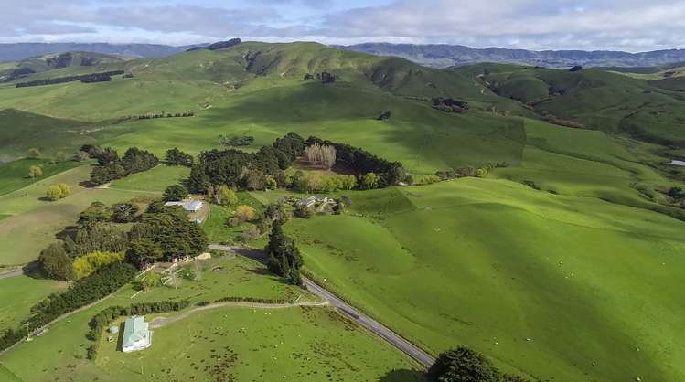 10284 Route 52 Pongaroa_0