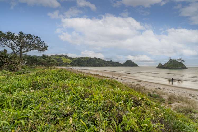 208 Mangakahia Drive Whangapoua_21