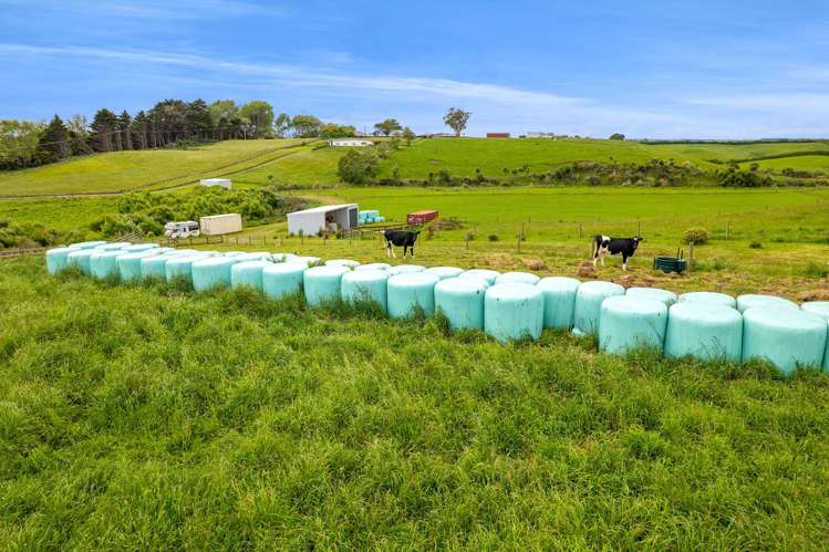 0n Turuturu Road, RD 14 Hawera_4