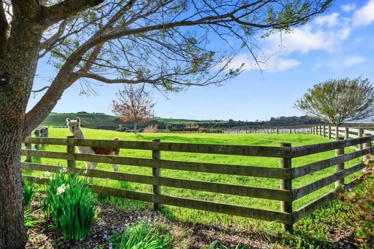 68D Tuparekura Road, South Head Helensville_31