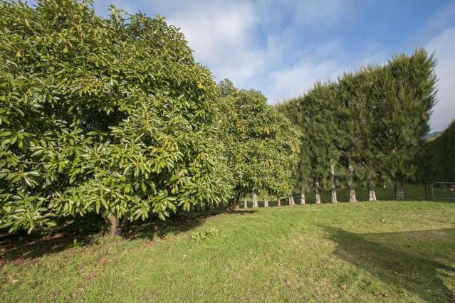 294 Wharawhara Road Hauraki Surrounds_3