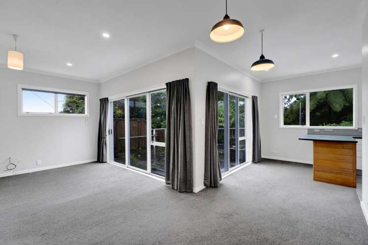 55 Mill Road Lower Vogeltown_7