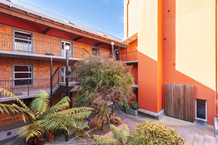 3/2 Manor Place Dunedin Central_17