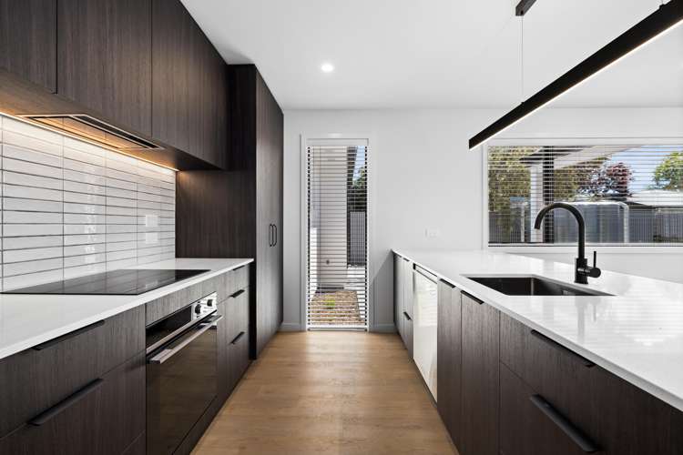 205a Guppy Road Taradale_8