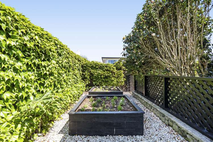 245A Carrington Street Vogeltown_38