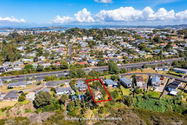 47 Mataroa Road Mount Wellington_3
