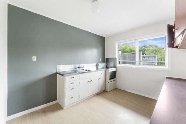 3/43b Milton Road Mt Eden_4