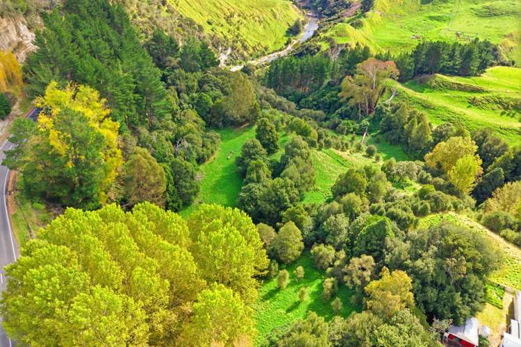 3499 State Highway 4_3