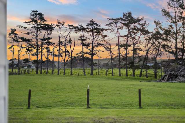 12 Joyce Adams Place Waimauku_1