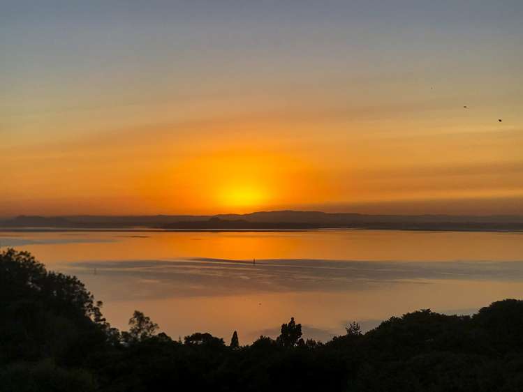 44 Takahe Road Titirangi_14