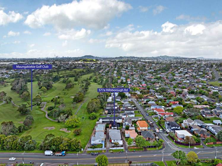 577a Hillsborough Road Mount Roskill_13