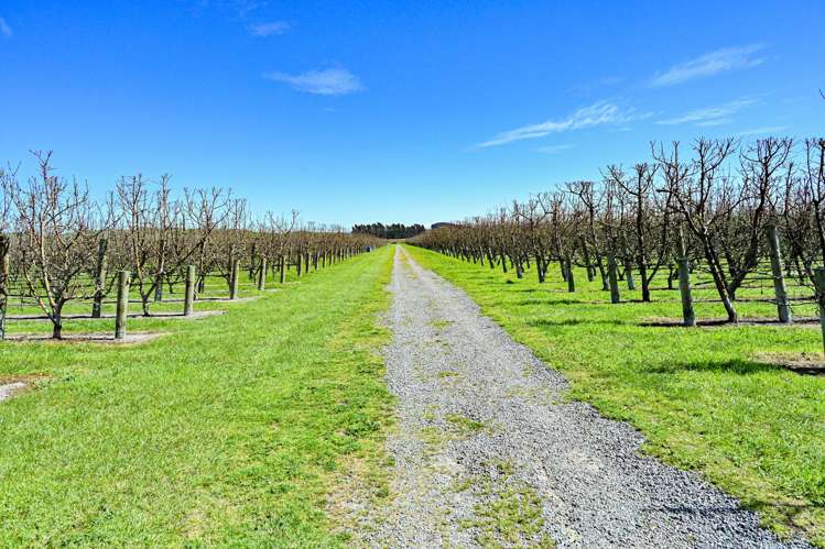 264 Paki Paki Road Longlands_32