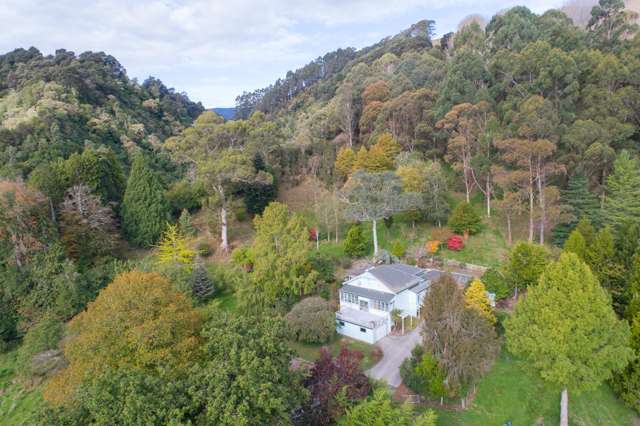 Porewa Woodlands - 64 hectares