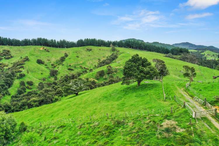 170 Te Puroa Road Ngaruawahia_24