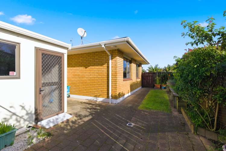 6A Compton Place Mount Maunganui_17