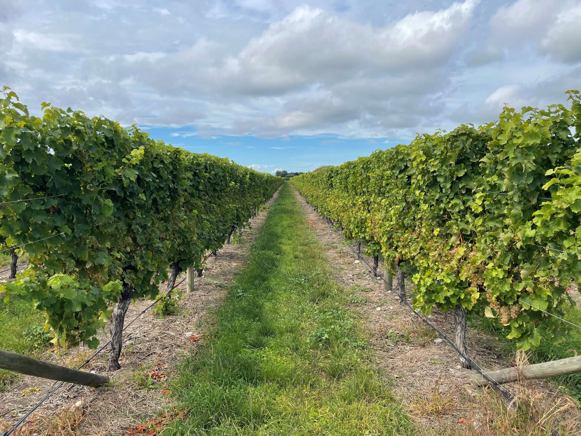 Pauls Road Rapaura_0