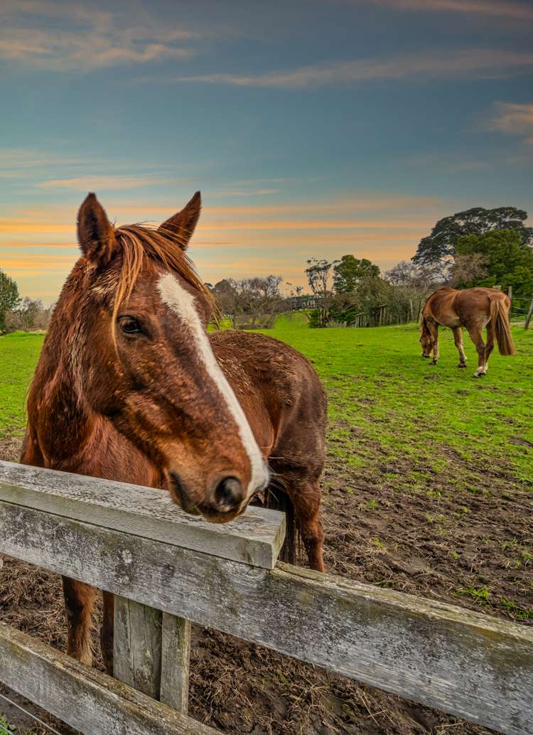 867 Whitford-Maraetai Road Beachlands_77