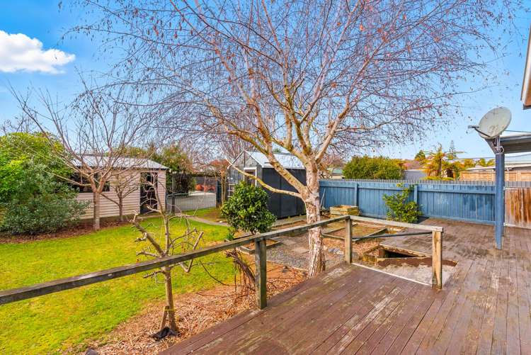 22 York Street Levin_17