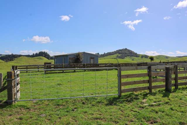 98 Millstream Road Dannevirke_4