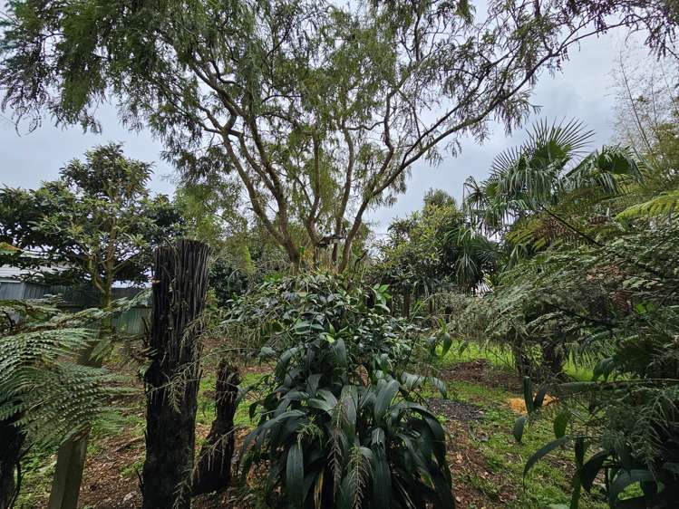 7 Dover Street Levin_17