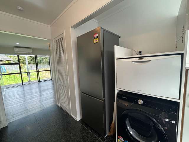 Blease Street New Lynn_1