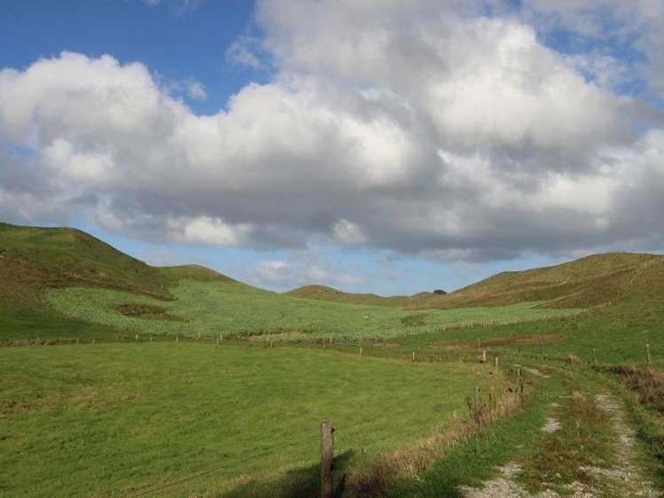 300 Nireaha Hukanui Road Eketahuna_10