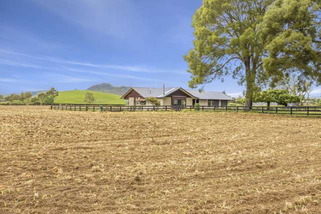 390 Marychurch Road Matangi_4