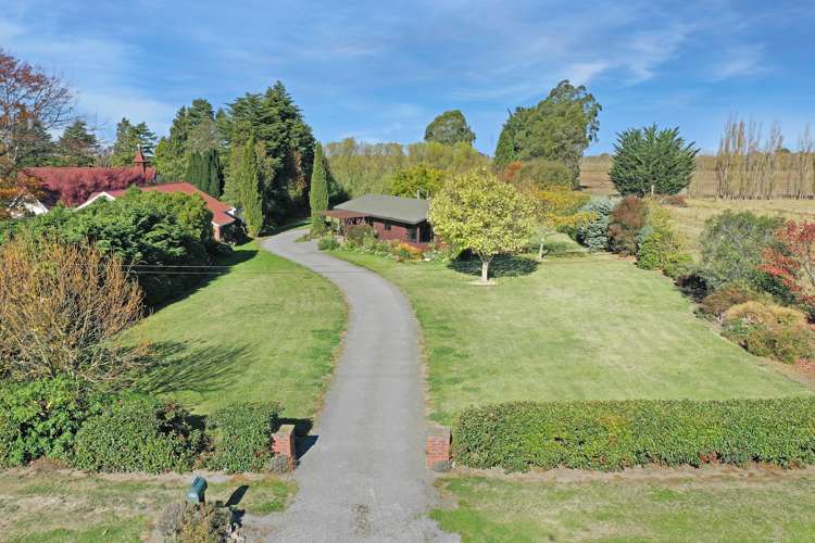 57 David Street Hinds_27