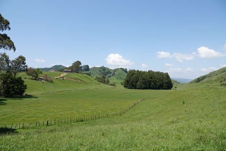 179 and 216 Rankin Road Waiotahe_18