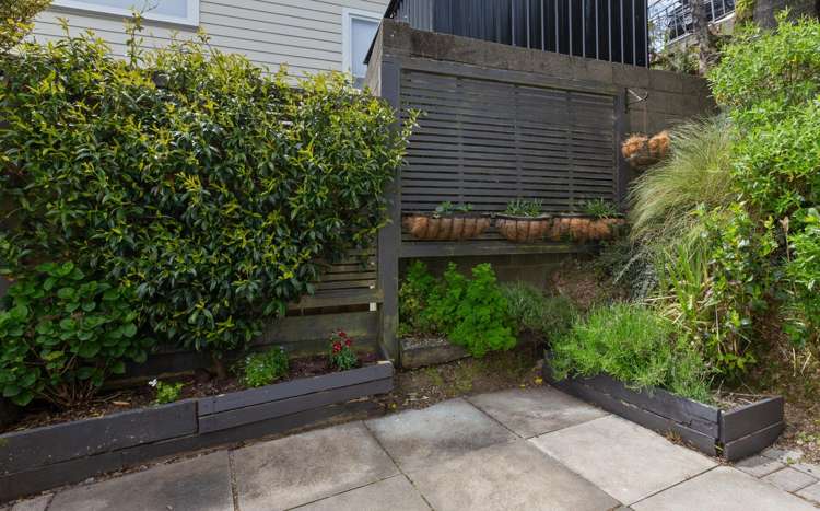 11B Euston Road Wilton_8