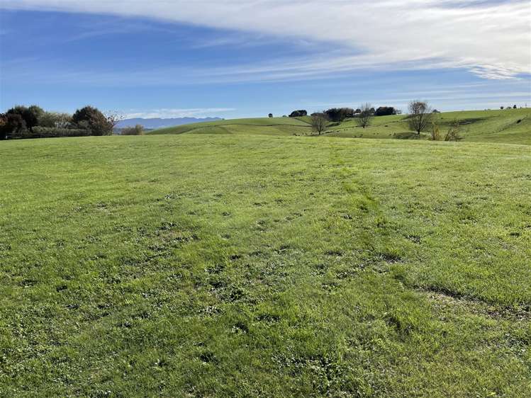 4 Prescott Rise Otorohanga_0