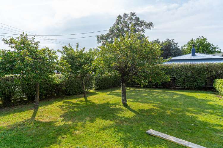 37 Dublin Street Martinborough_10