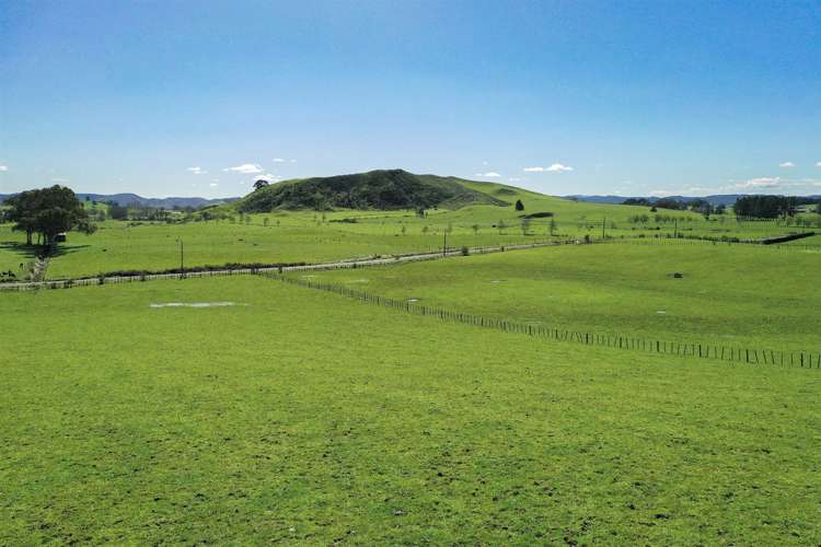 171 Martin Road Waerenga_30