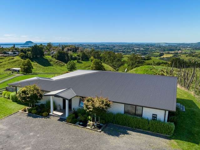 15b Junction Road Wairoa_3