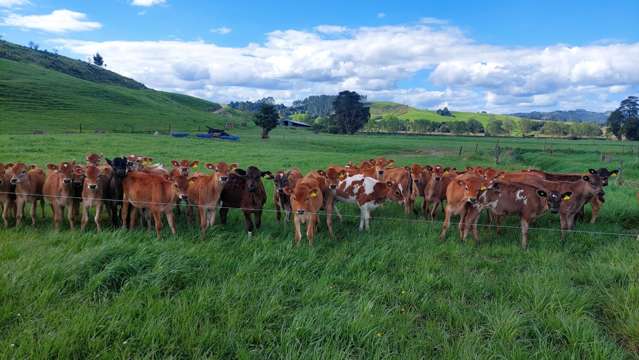 Dairy Support - As Good As It Gets!