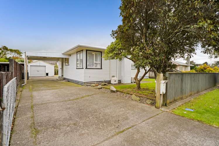 12 Nikau Street_1