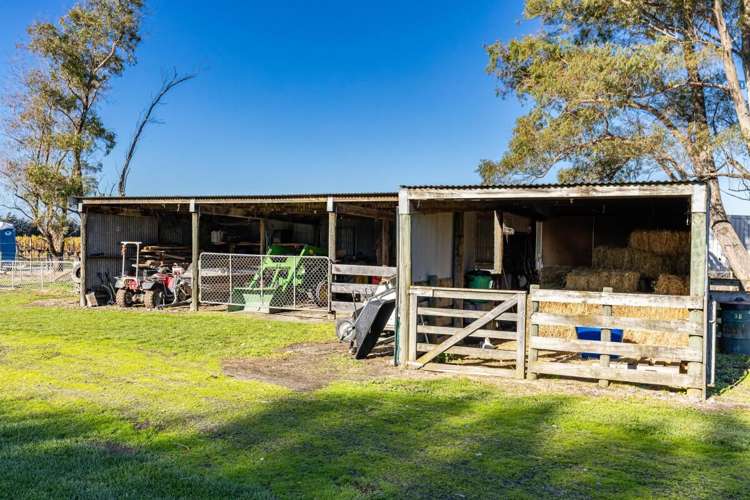 2d Ferry Road Spring Creek_33