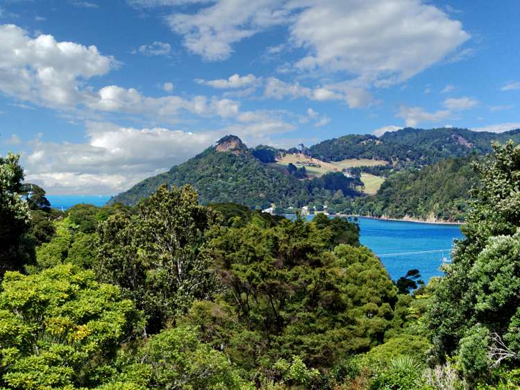 1117 Huia Road Huia_2