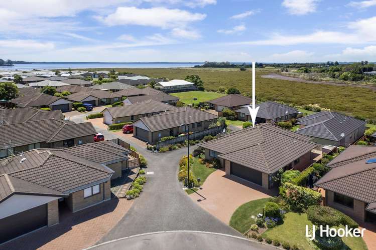 33 Malta Crescent Katikati_15