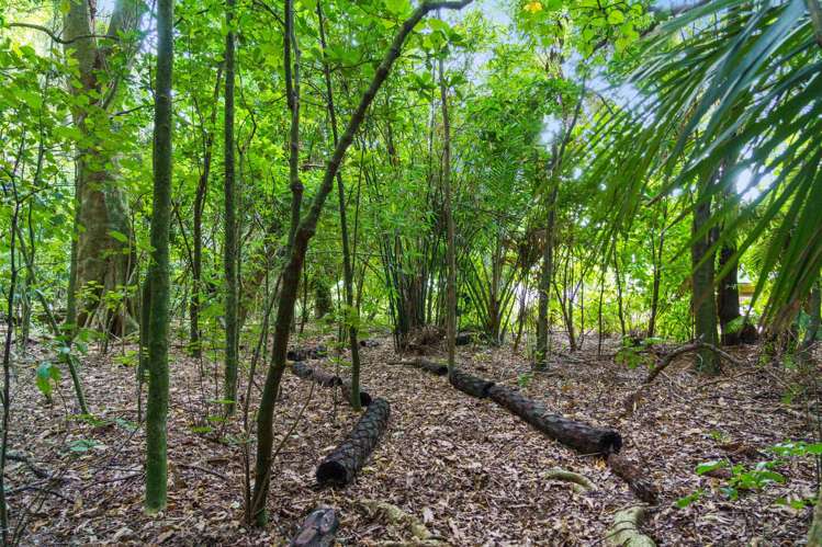 288 Oropi Gorge Road Oropi_40