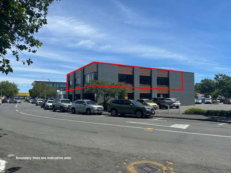 67 Raffles Street Napier Central_1