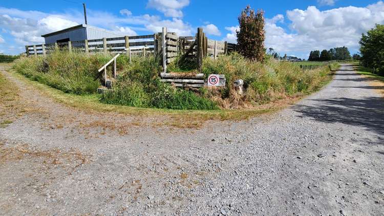 71 Lepper Road Inglewood_1