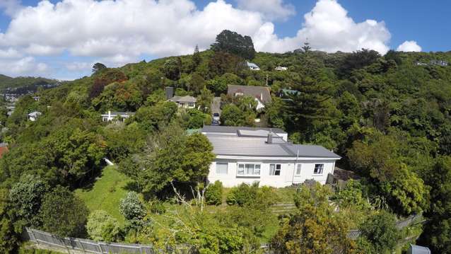 1 Ara Toutouwai Karori_3