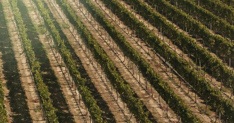 3 Holloway Street Clyde_10