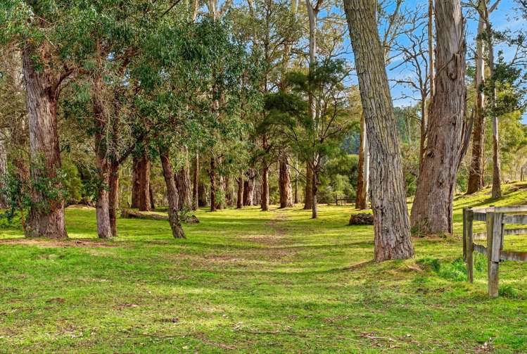 992 Dartmoor Road Puketapu_28