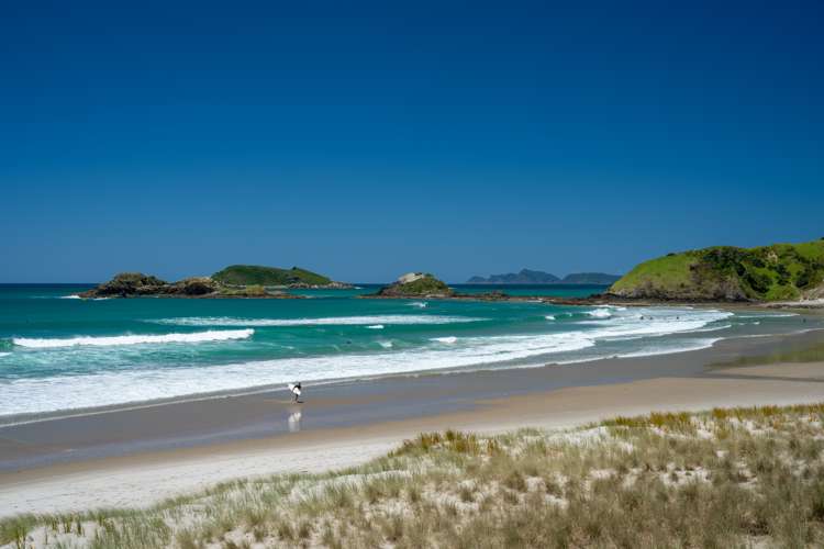 342 Ocean Beach Road Whangarei Heads_30