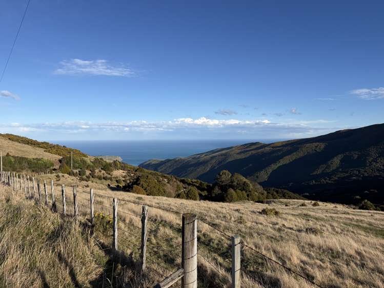 490 Long Bay Road Akaroa_18